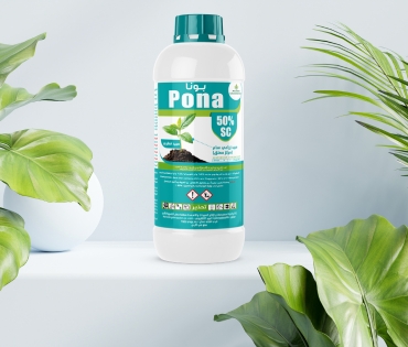 Pona